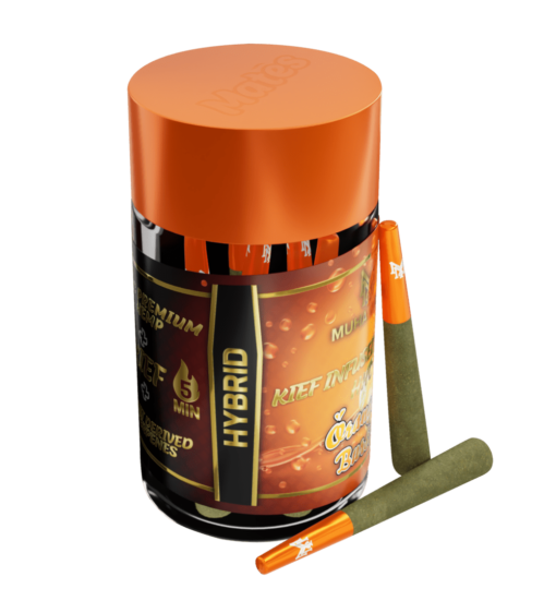 Orange Burst